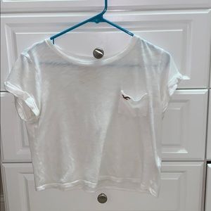 Hollsiter Cropped Tee